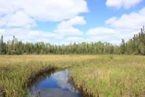 IMG_0249.JPG