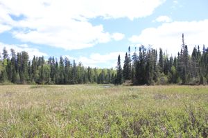 IMG_0250.JPG