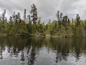 IMG_20200529_193151.jpg
