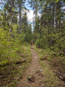 Portage