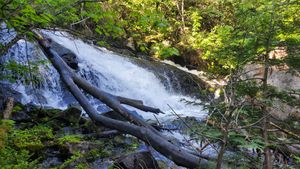 Waterfalls