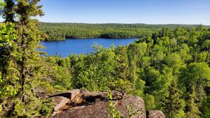 Vernon Overlook