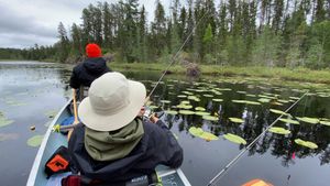 Stream to the portage