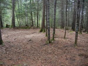 Campsite 968