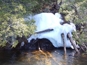 Ottertrack iceberg