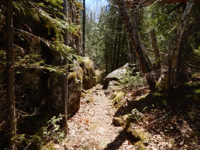 Ottertrack ~ Gijikiki portage