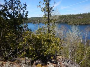 Ottertrack overlook