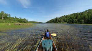 Coming up on Loon Lake
