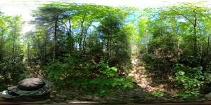 Campsite 98
