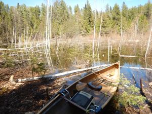 Lunar ~ Cherry portage beaver pond