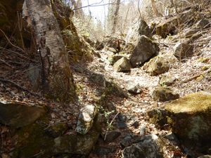 Bouldery path