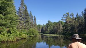 Channel to White Birch