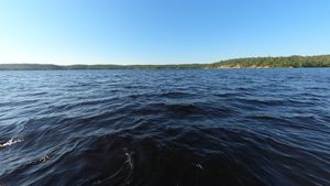Heading into the Waves