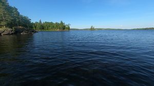 Reprieve from the Wind