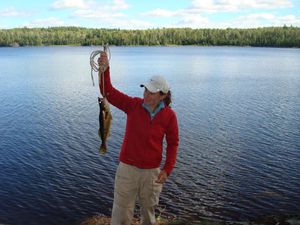 Moosecamp Walleye