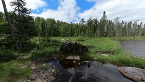 Finger-Thumb Portage