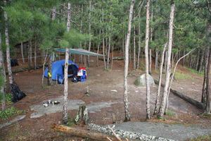 LLC site 359 (#175) tent