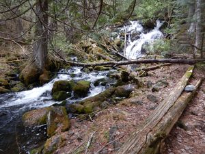 Enchanted Forest portage waterfall