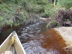 Moose R sandbar portage E