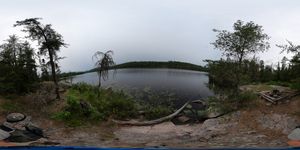 Campsite 82