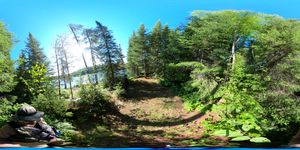 Campsite
