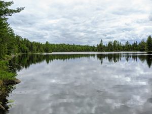 Muskrat lake view
