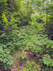 muskrat lake trail