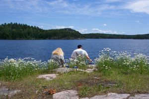 Lunch on McAree