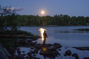 Under the moon