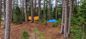 Hammock and tent