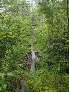 Portage