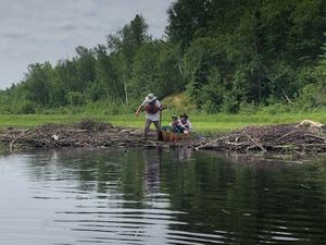 beaver dam on LIS river