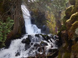 Walking into the falls