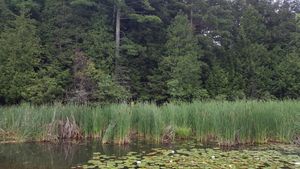 Partridge portage landing