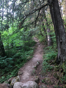 Portage 773 path