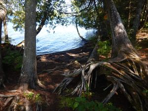 Rose lake camp #651 beach