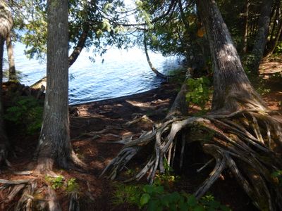 Rose lake camp #651 beach