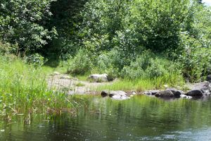 Portage river Left