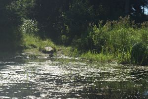 portage river left