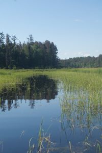 Past the first Beaver dam
