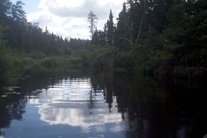 the river widens