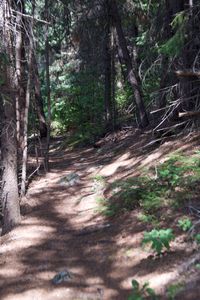 portage river left