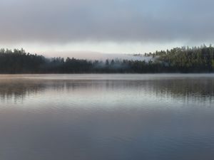IMG_9284.JPG