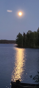 moon little vermilion