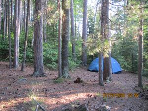 IMG_1283.JPG