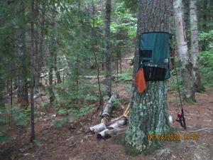 IMG_1296.JPG