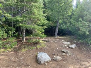 IMG_1023.jpg