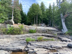 IMG_1026.jpg