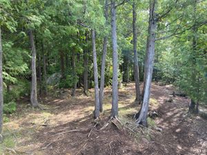 IMG_1025.jpg