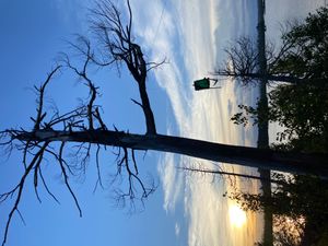 IMG_1015.jpg